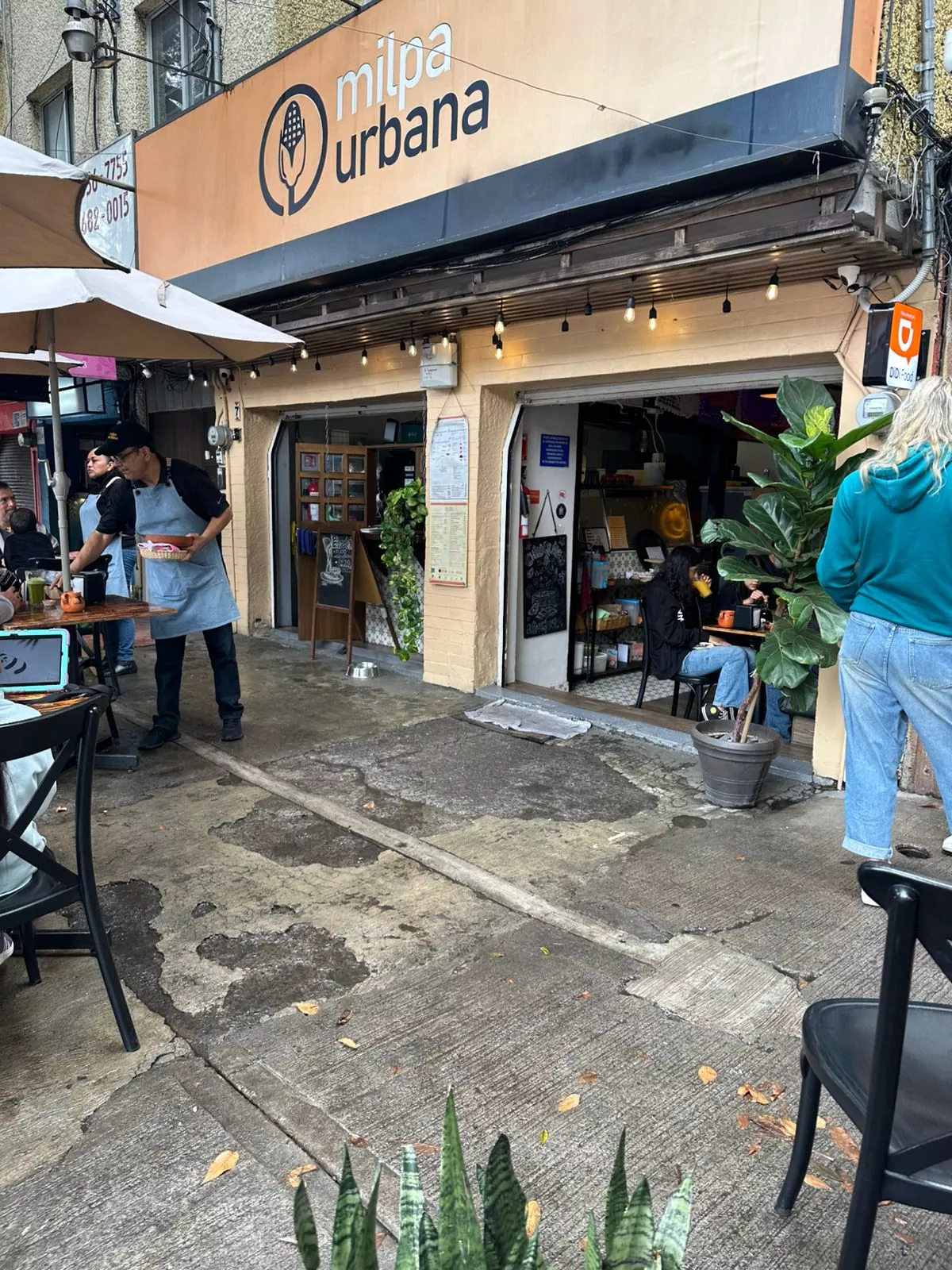 Whatsapp image 2025 10 15 at 12.53.47  1 