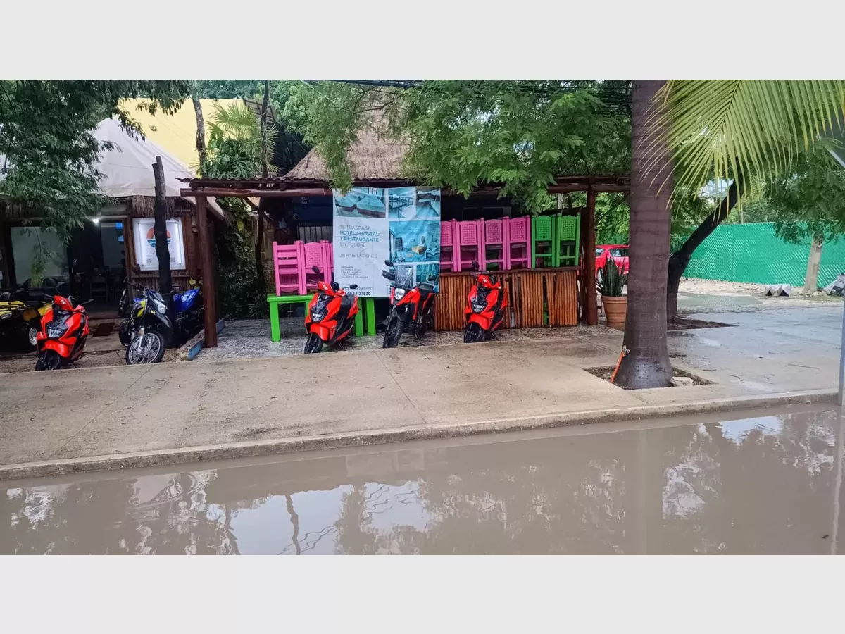 Show fc7f94e4 4c17 4085 983b 4a2aede6733d