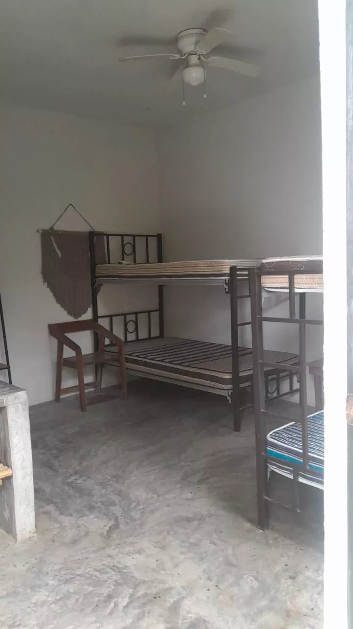 84c95d25 0a57 479e b3a7 56f29069a6bd