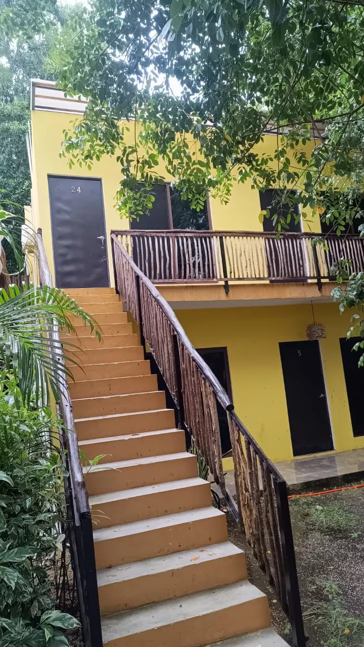 47891061 233c 4e12 8e1a eef45a9ad981