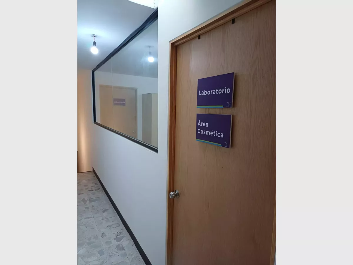 Show whatsapp image 2025 12 13 at 1.40.47 pm