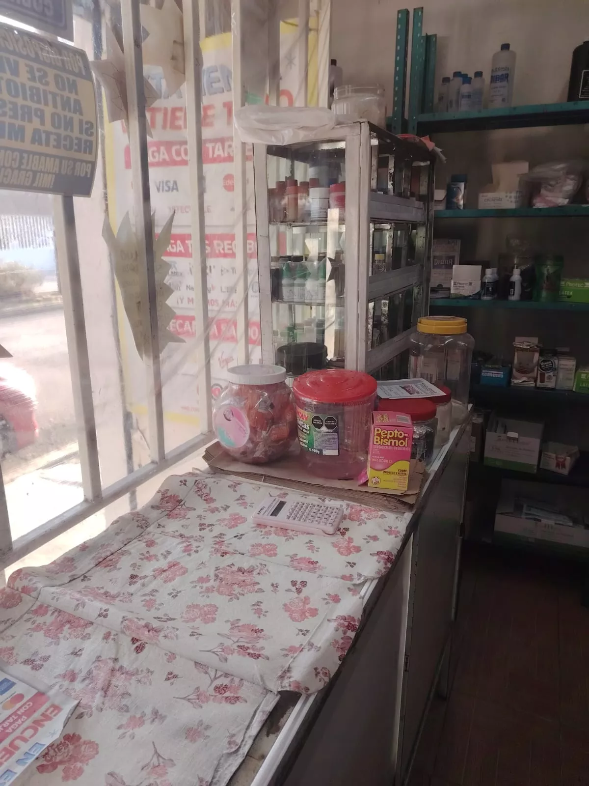 Whatsapp image 2026 01 09 at 4.10.14 pm