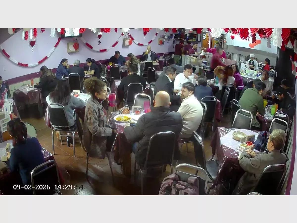 Show whatsapp image 2026 02 11 at 11.51.18