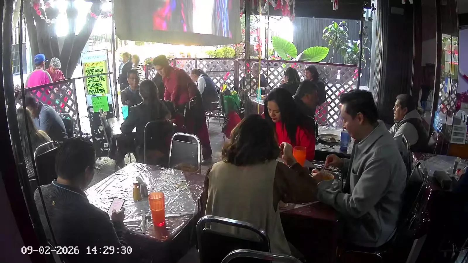 Whatsapp image 2026 02 11 at 11.51.18  1 