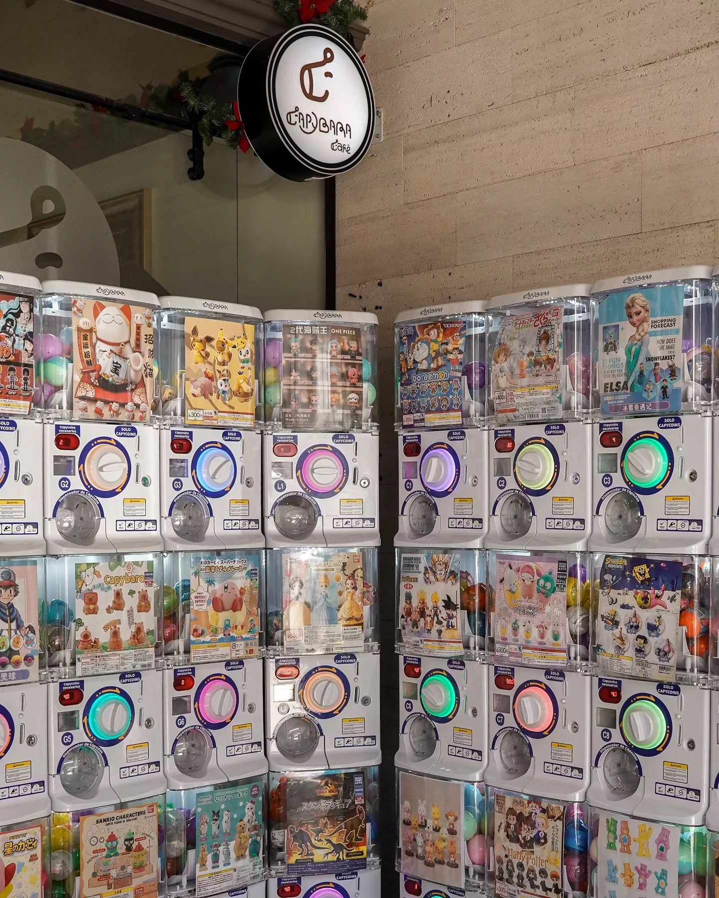 476348835 17858366226360270 5775030008729088976 n