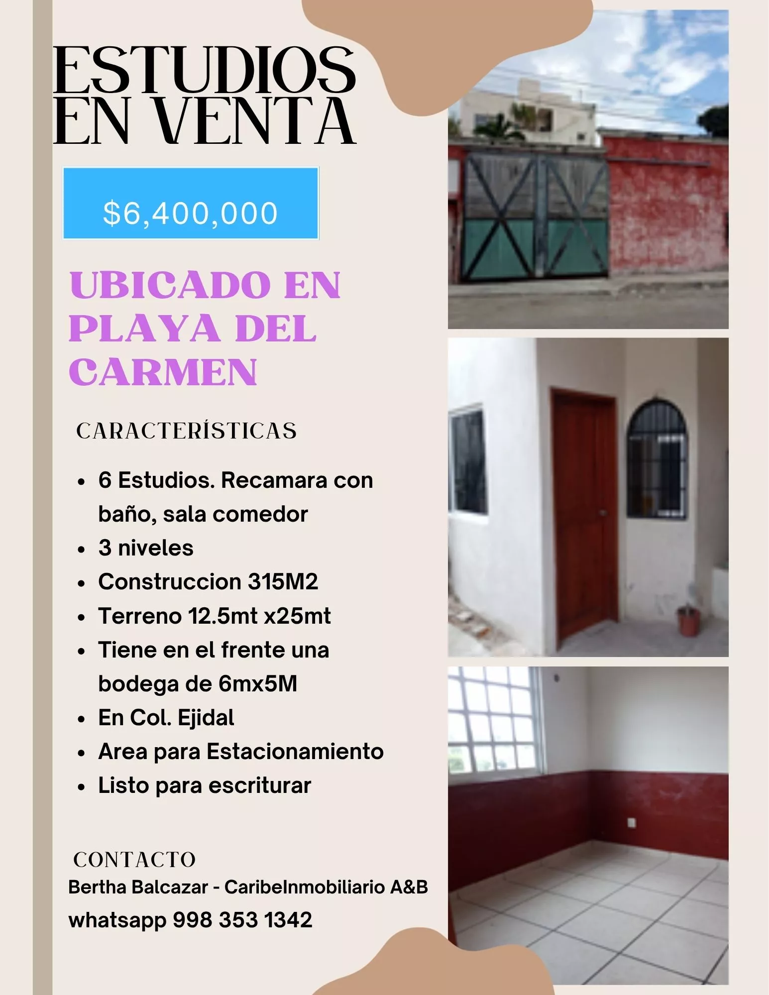 6 estudios pdc
