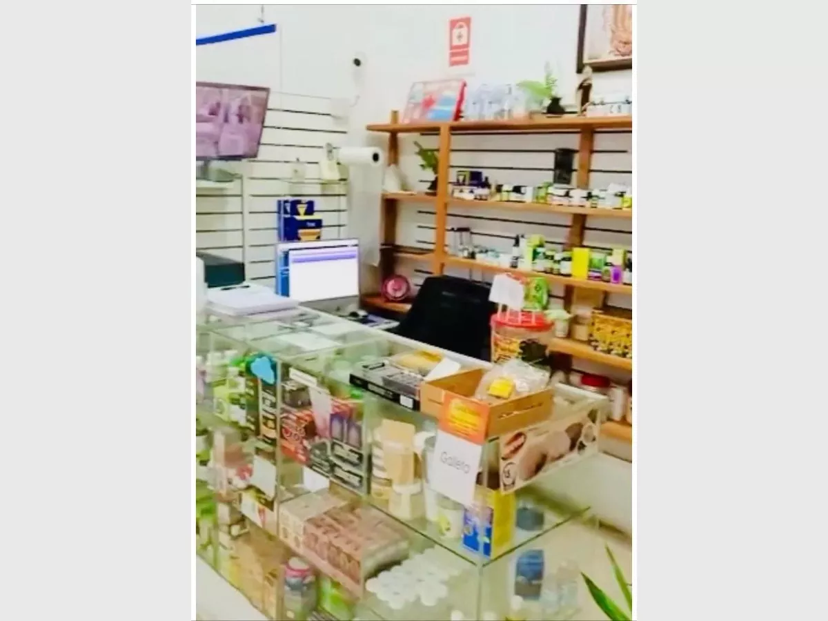 Show whatsapp image 2022 09 08 at 3.57.48 pm